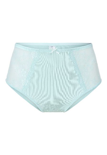 Daily High Waist Brief 358-pastel blue