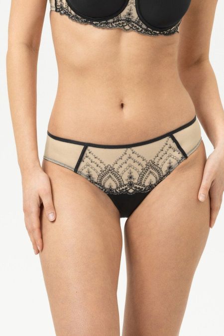 Mini brief 1810 golden haz