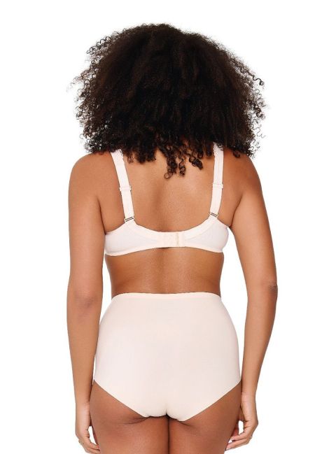 HIGH WAIST BRIEF 123-ABRIKOOS