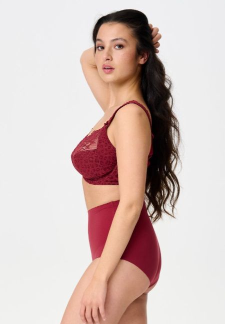 PACK HIGH WAIST BRIEF 377 Ruby wine
