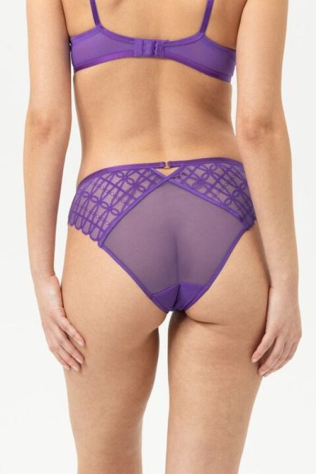 mini-briefs 1805 electric p
