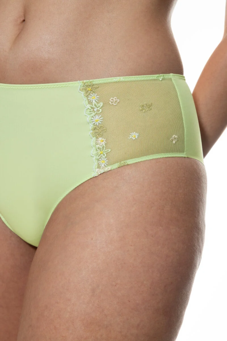 american pants 1223-pistachio