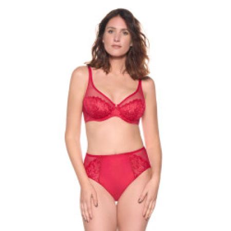 494-50 ral