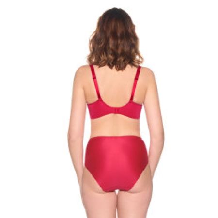 494-50 ral